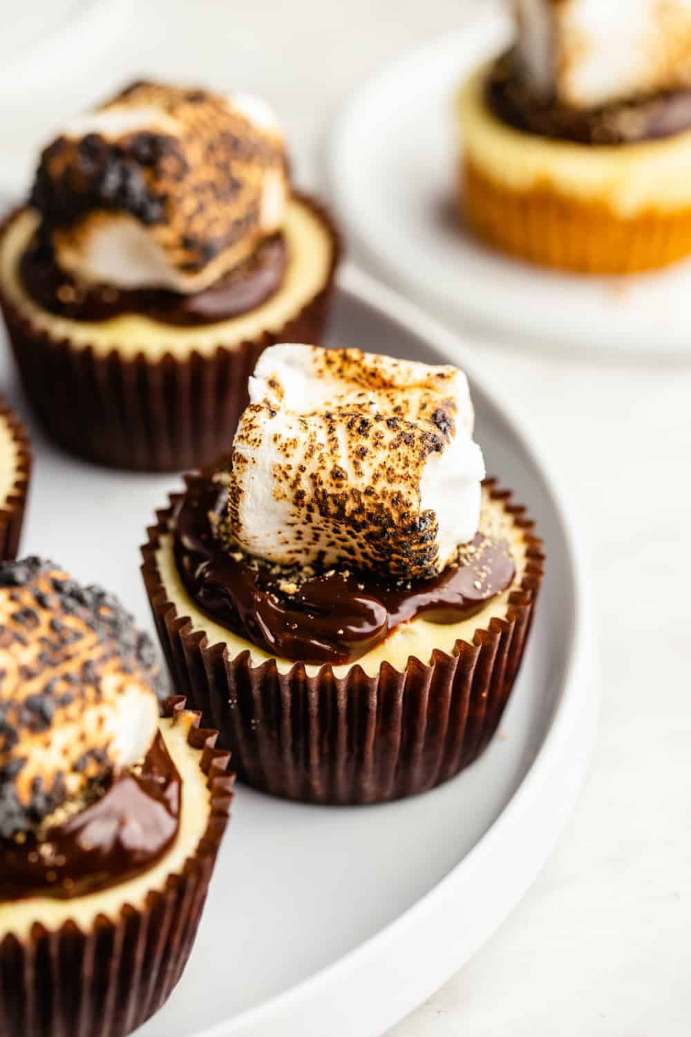 Group of mini s'mores cheesecakes on a platter, topped with toasted marshmallows