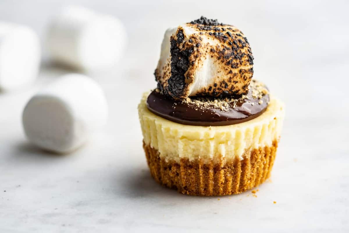 Mini cheesecake topped with fudge sauce and a toasted marshmallow with marshmallows in the background