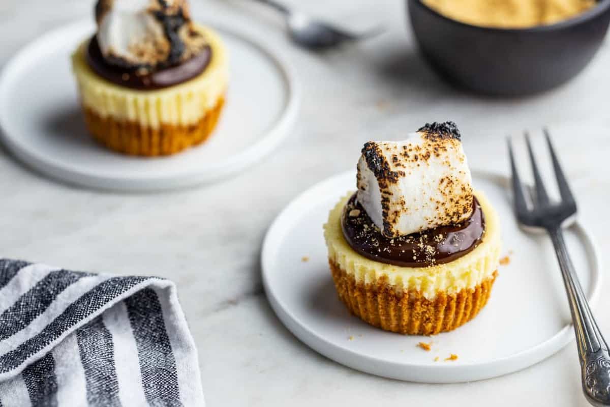Two plated mini s'mores cheesecakes with forks
