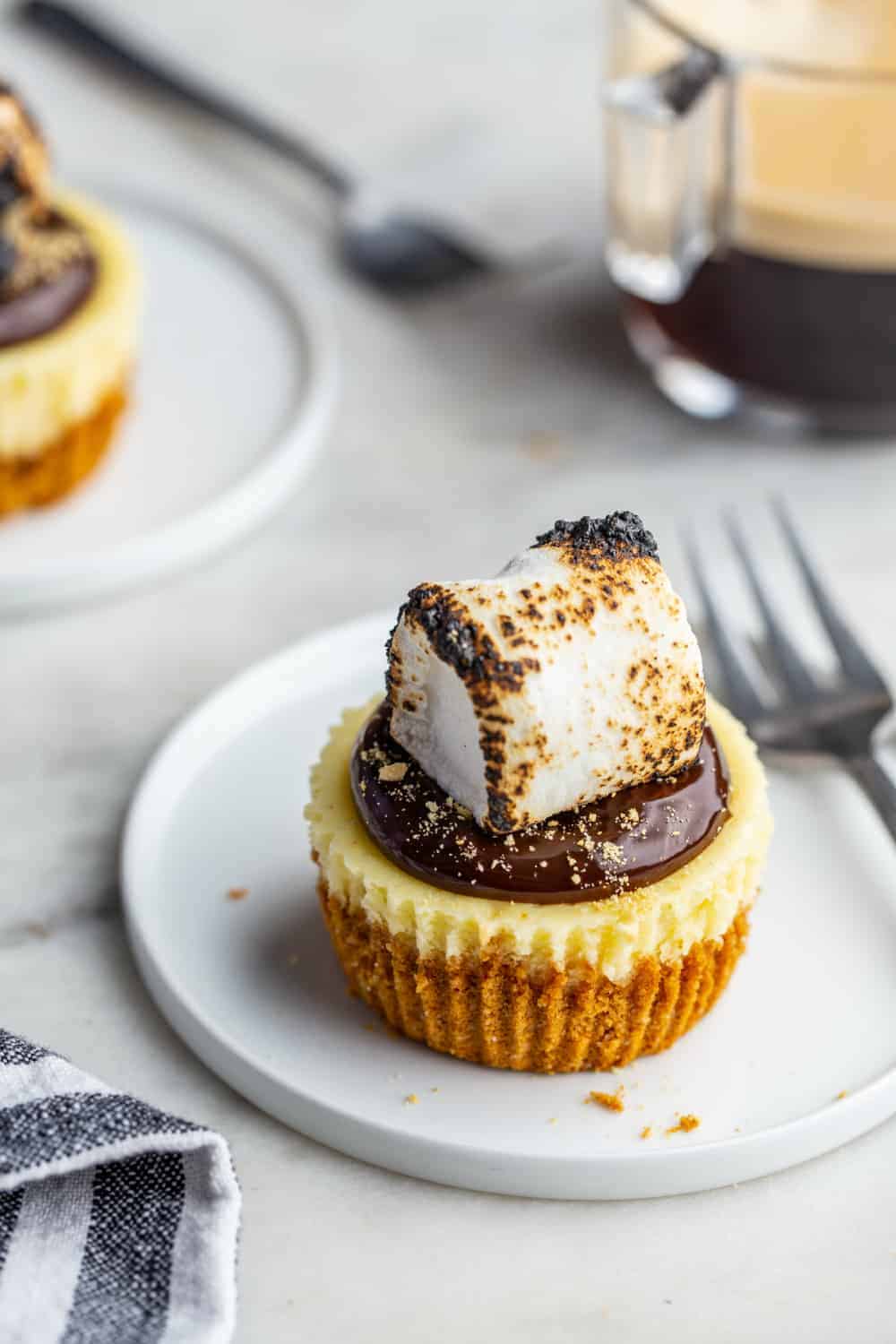 Mini s'mores cheesecake on a white plate