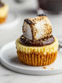 Plated mini cheesecake topped with hot fudge sauce and a toasted marshmallow