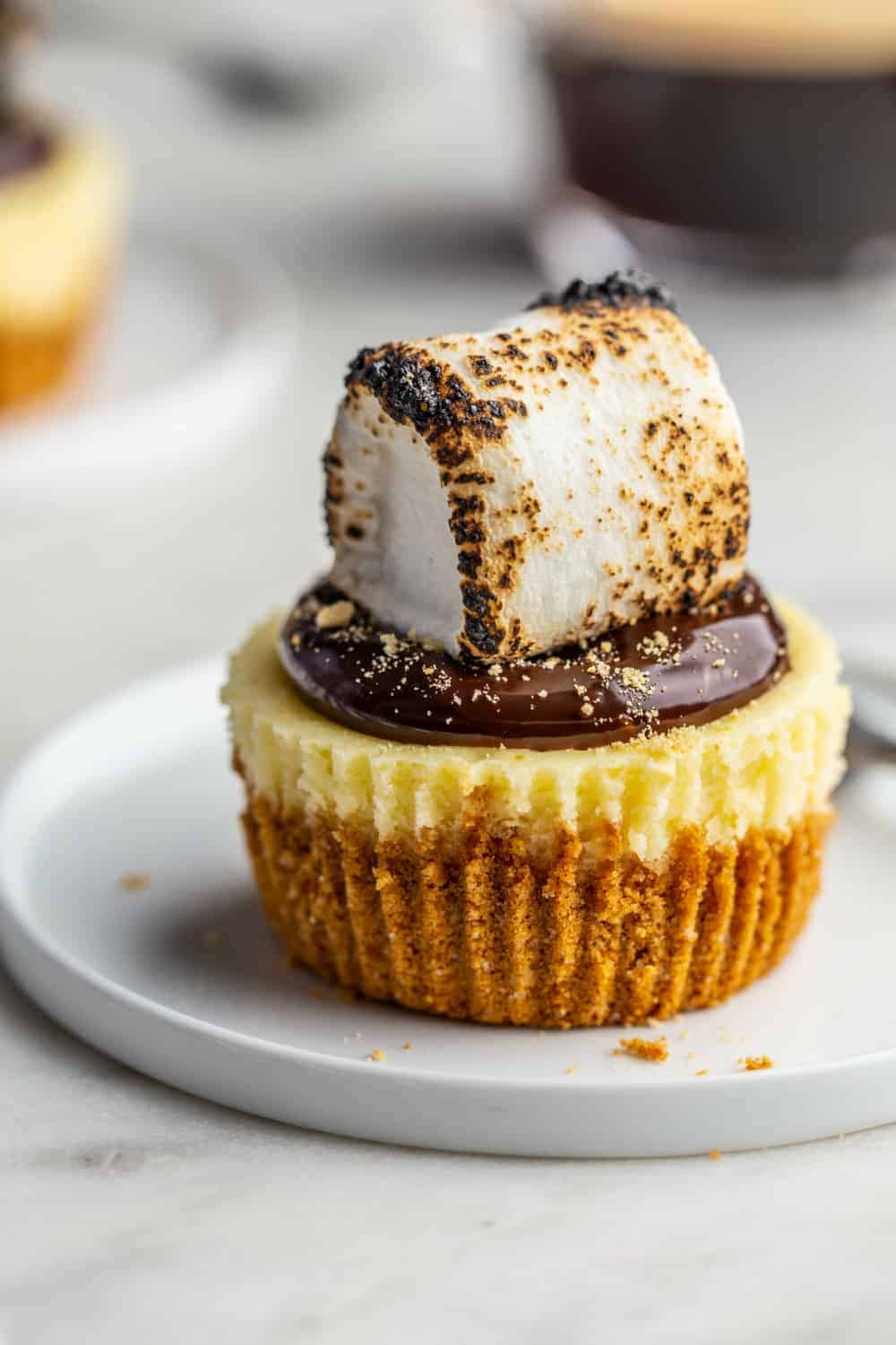 Plated mini cheesecake topped with hot fudge sauce and a toasted marshmallow