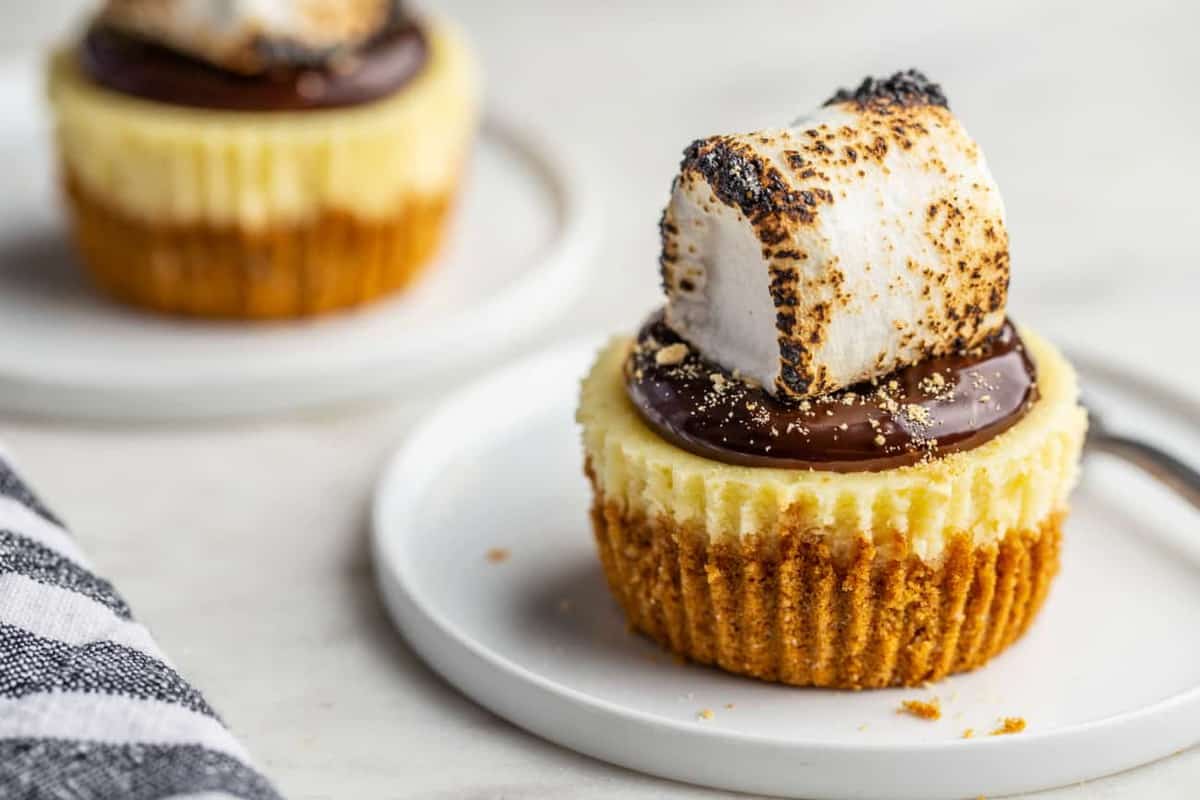 Two mini s'mores cheesecakes plated on white plates on a marble background