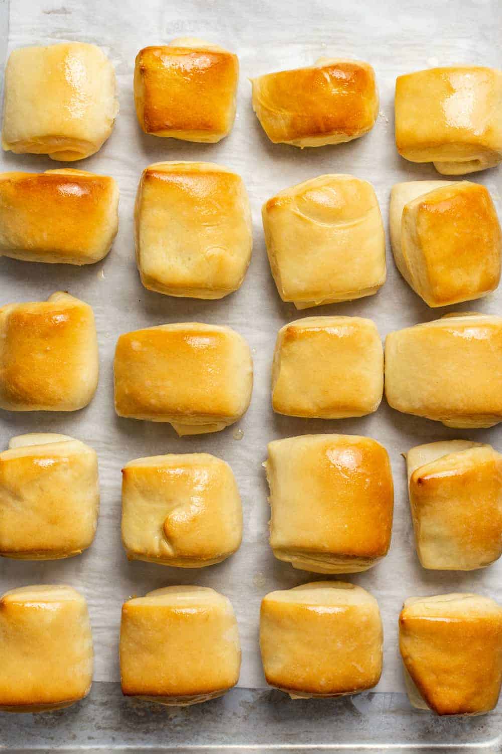 Baked parker house rolls on a parchment-lined baking sheet