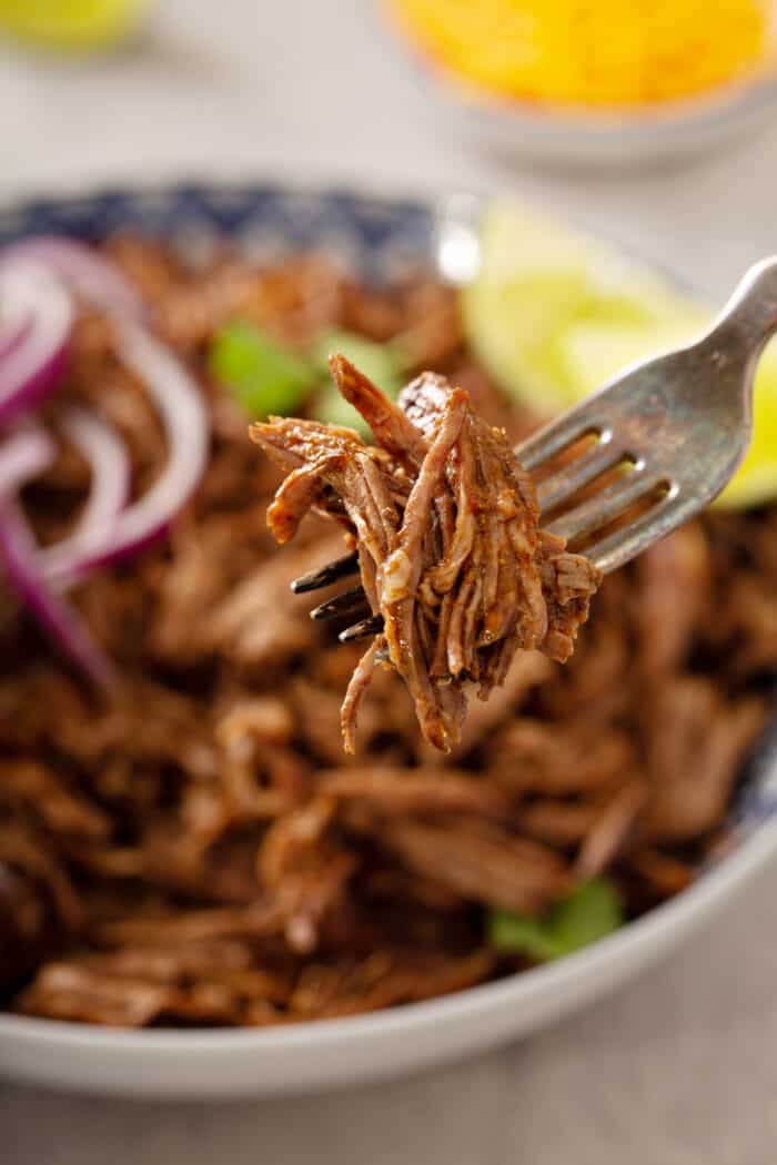 Fork holding a bite of chipotle barbacoa with a bowl of barbacoa in the background