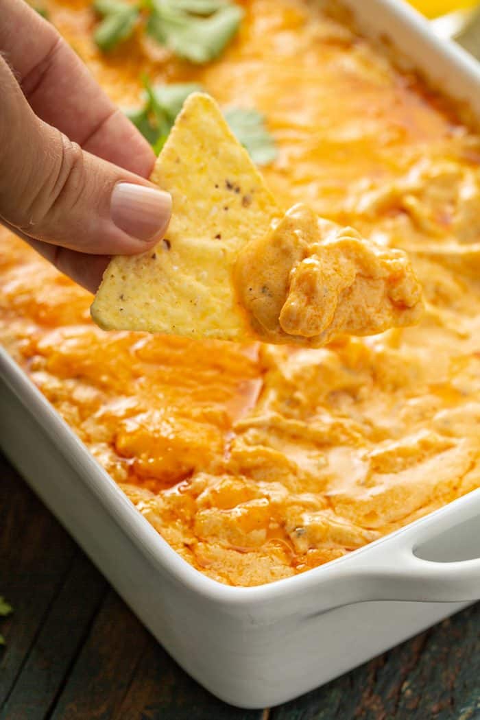 Hand holding a tortilla chip with buffalo chicken dip