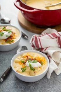 Two bowls of loaded baked potato soup on a counter in front of a dutch oven filled with soup