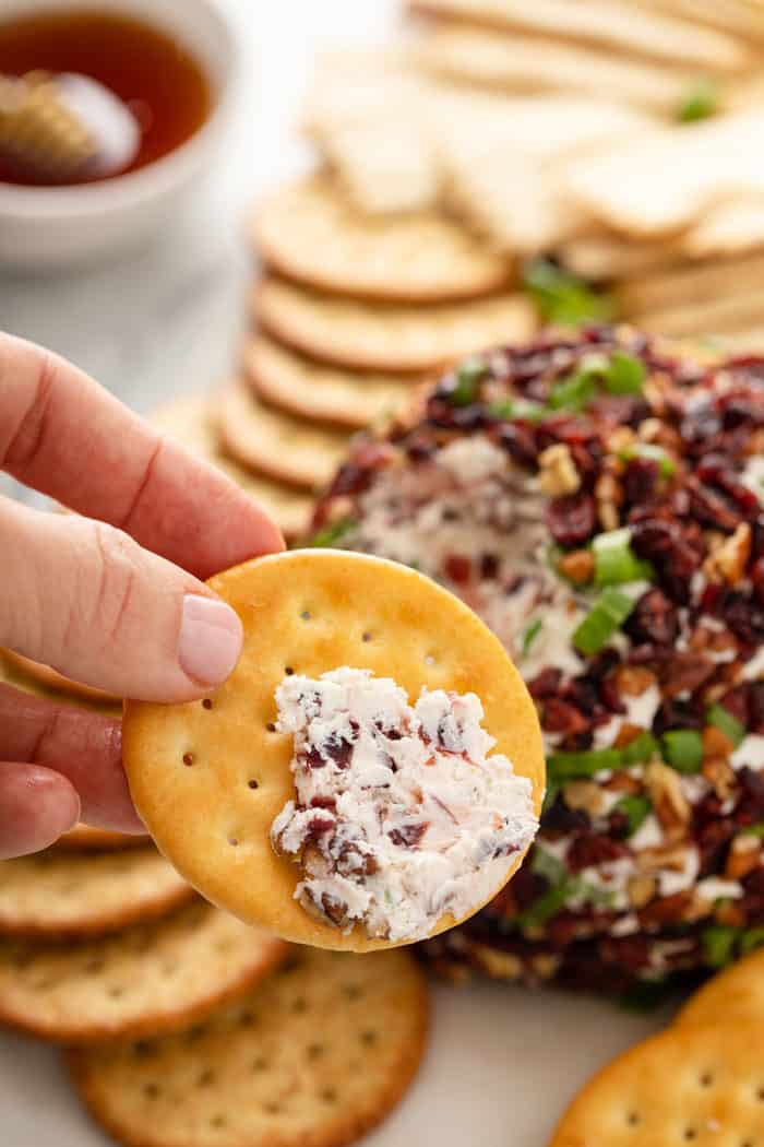 Hand holding up a cracker spread with some cranberry goat cheese ball