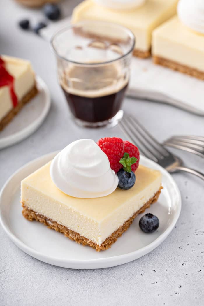 Plated cheesecake bar topped with whipped cream and fresh fruit