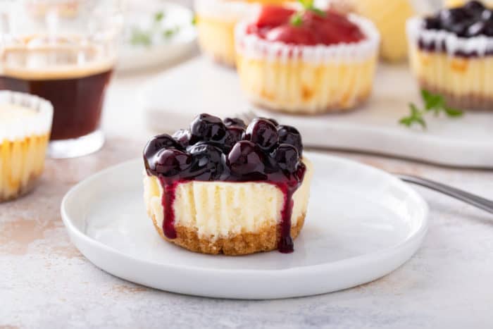 Plated mini cheesecake topped with blueberry pie filling.