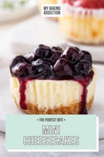 Mini Cheesecakes (in a Standard Muffin Pan) - Sally's Baking Addiction