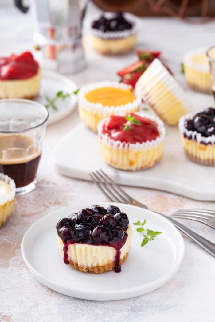 Mini cheesecakes on a kitchen counter, with a plated blueberry mini cheesecake in the foreground.