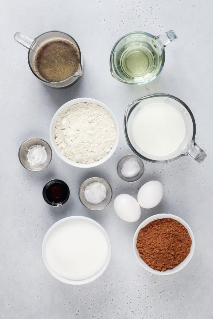 Black magic cake ingredients arranged on a light gray countertop.