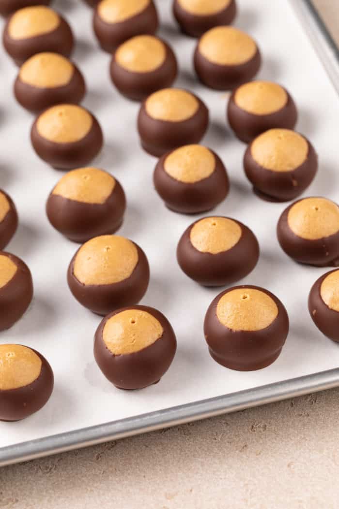 Dipped buckeyes set on a parchment-lined baking sheet.