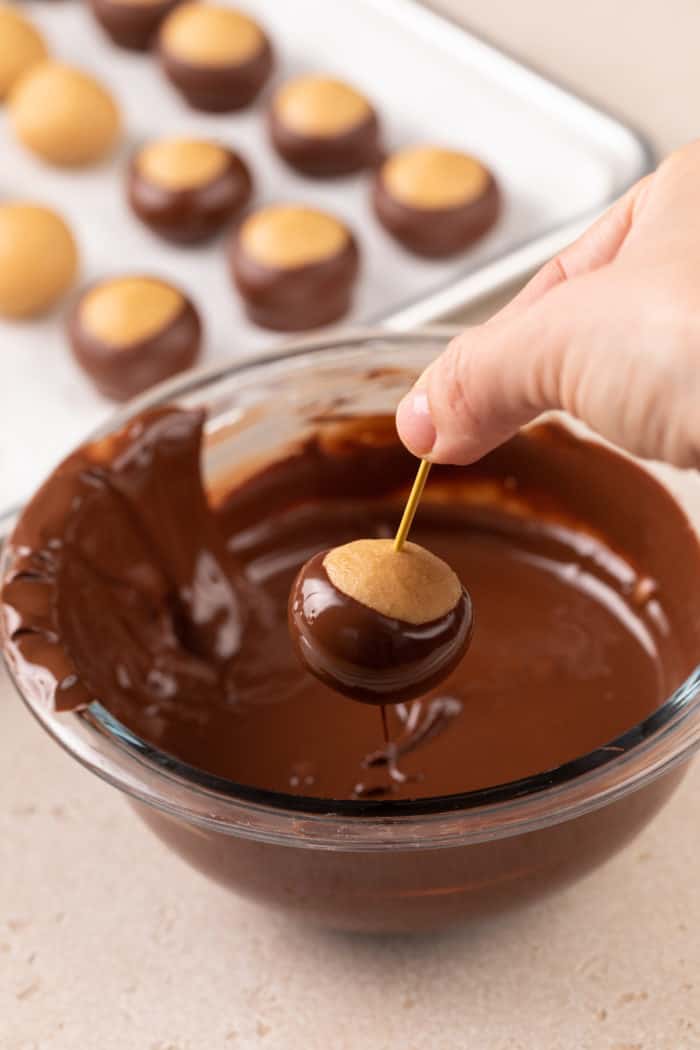 Hand using a toothpick to dip a buckeye in melted chocolate.