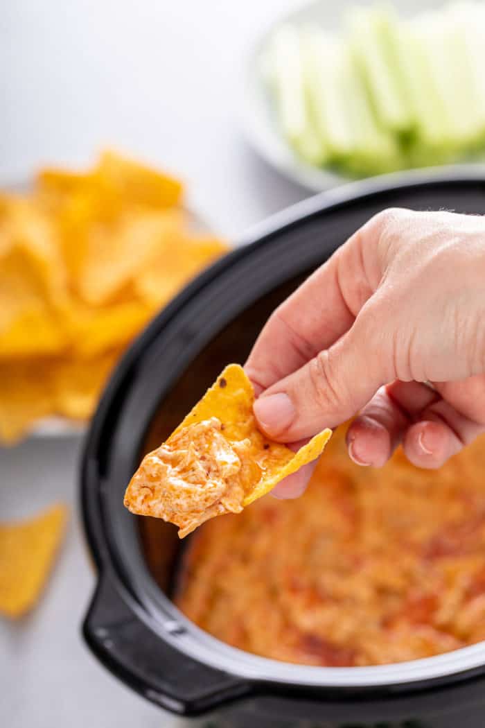 Hand holding up a tortilla chip with slow cooker buffalo chicken dip on it.