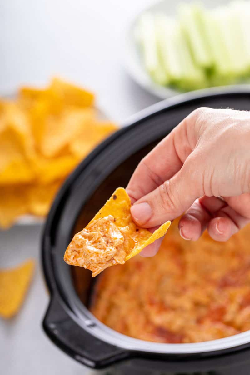 Slow Cooker Buffalo Chicken Dip - My Baking Addiction