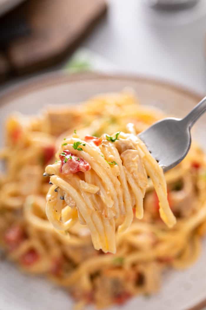 Fork holding up a bite of chicken spaghetti casserole.