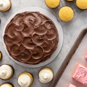 Assortment of frosted and unfrosted cakes.