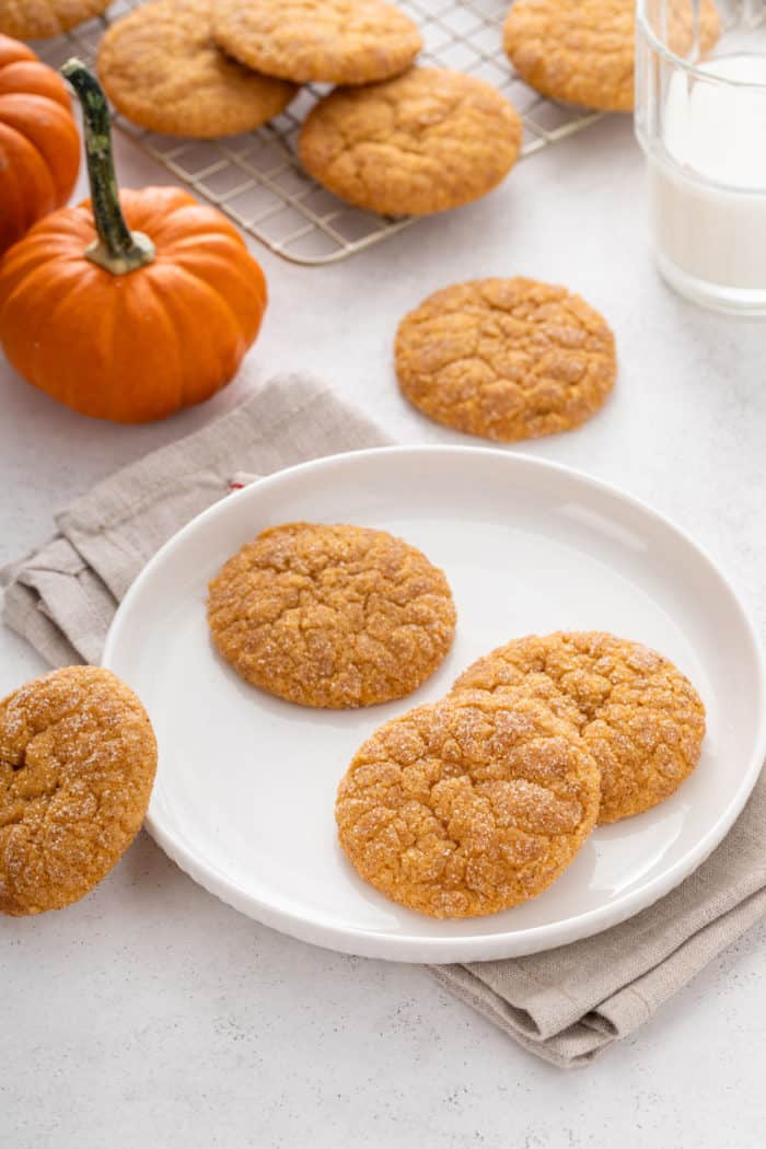 Three pumpkin snickerdoodles on a white plate with more cookies scattered around the plate.