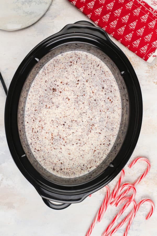 Crockpot Hot Chocolate - My Baking Addiction