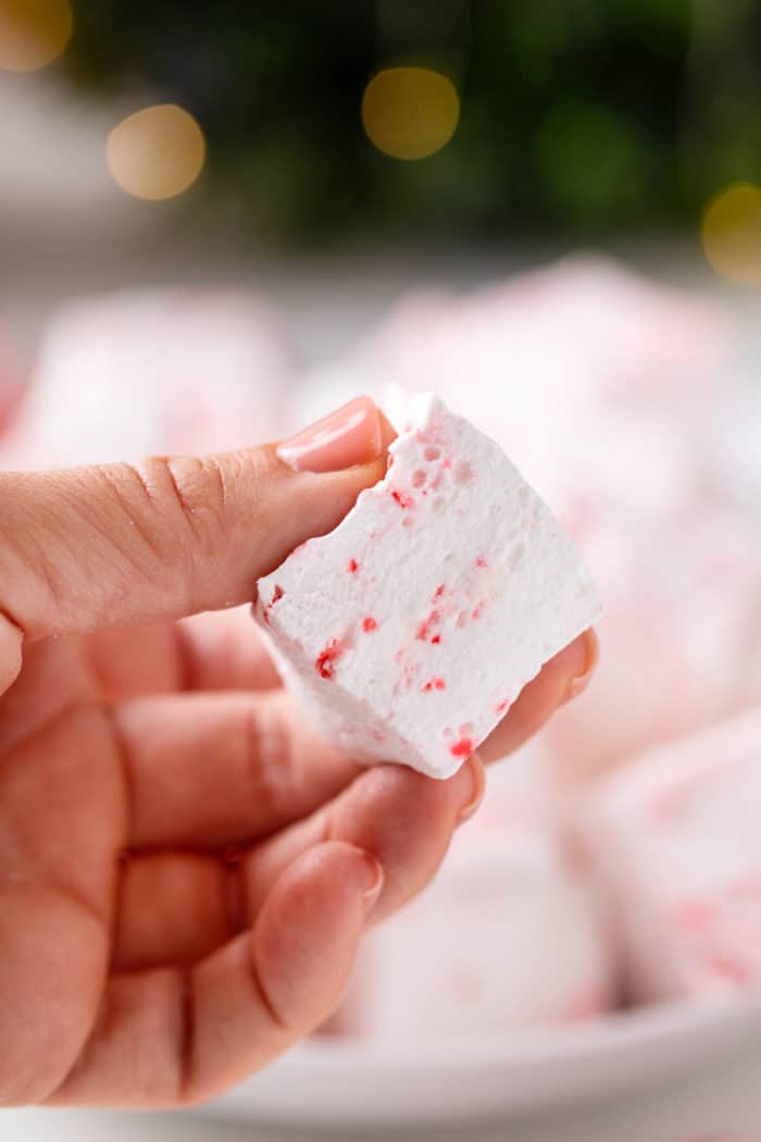 Hand holding a peppermint marshmallow up to the camera to show the fluffy texture.