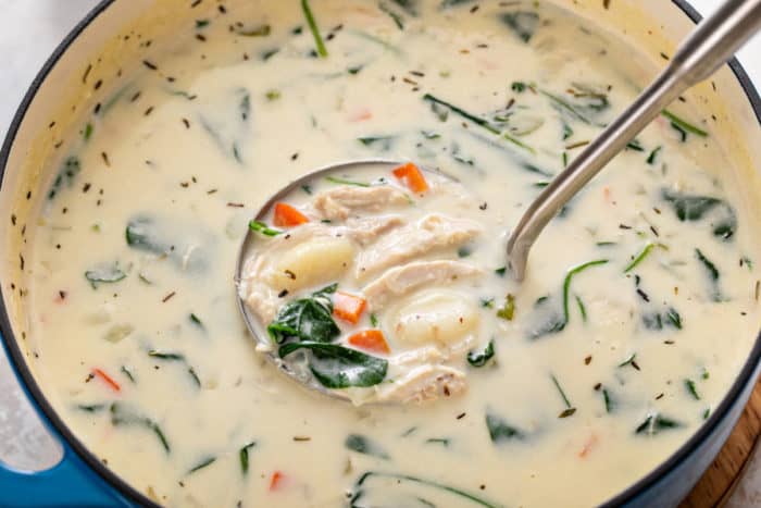 Ladle of chicken and gnocchi soup in a pot of the soup.