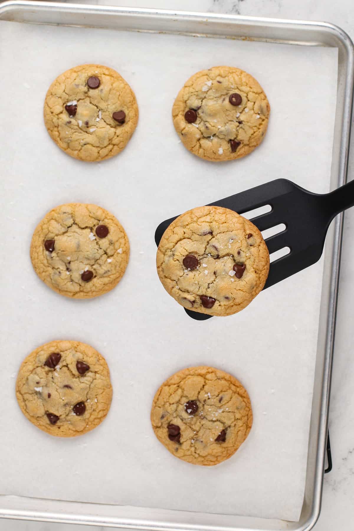 Spatula lifting a baked grand floridian chocolate chip cookie up from a baking sheet.