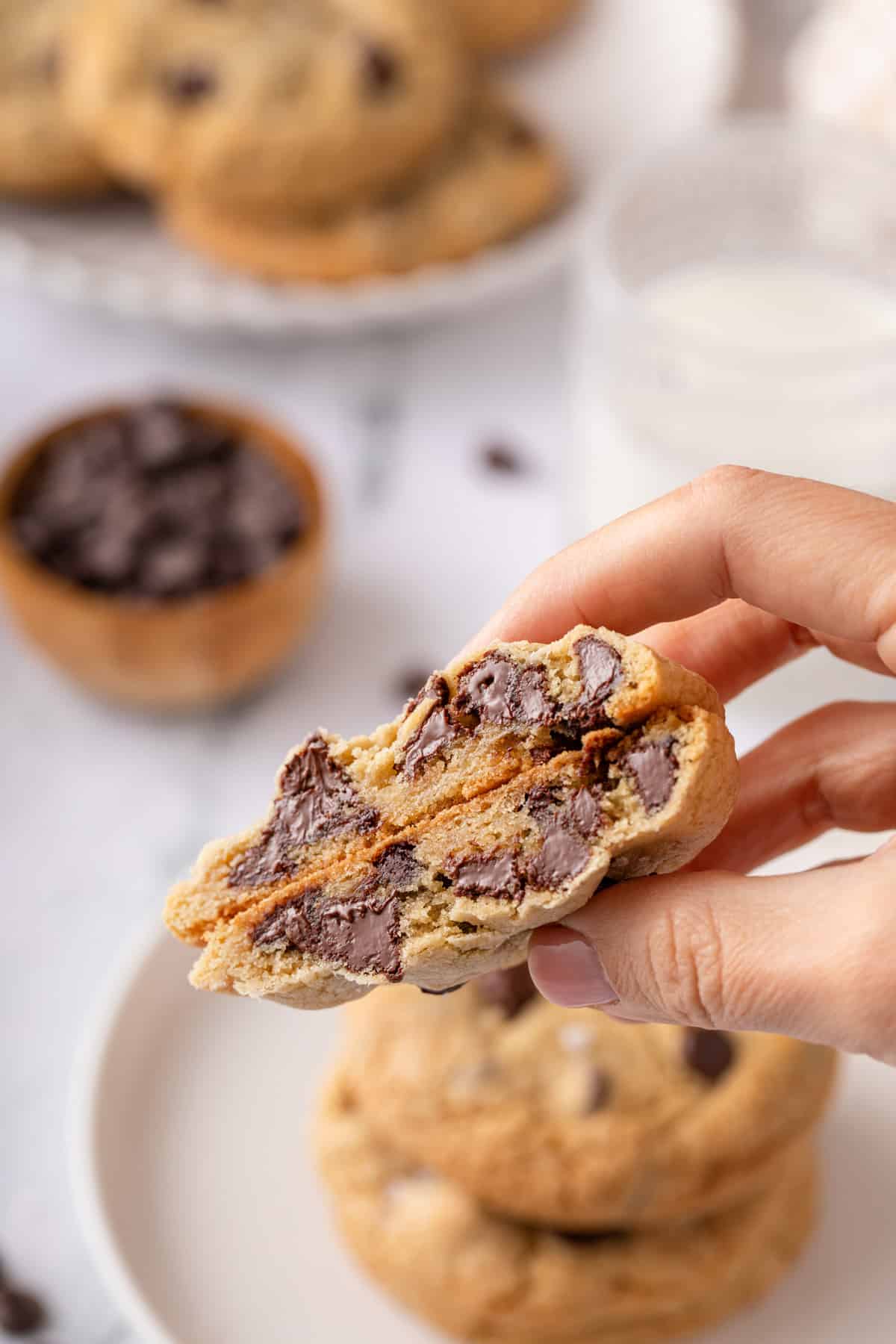 Grand floridian chocolate chip cookie broken in half to show the chocolate chips and inside texture.