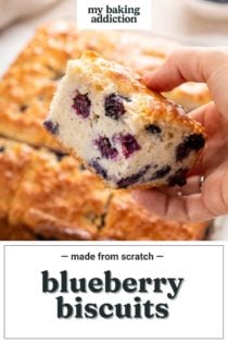 Hand holding up a blueberry biscuit to the camera. Text overlay includes recipe name.