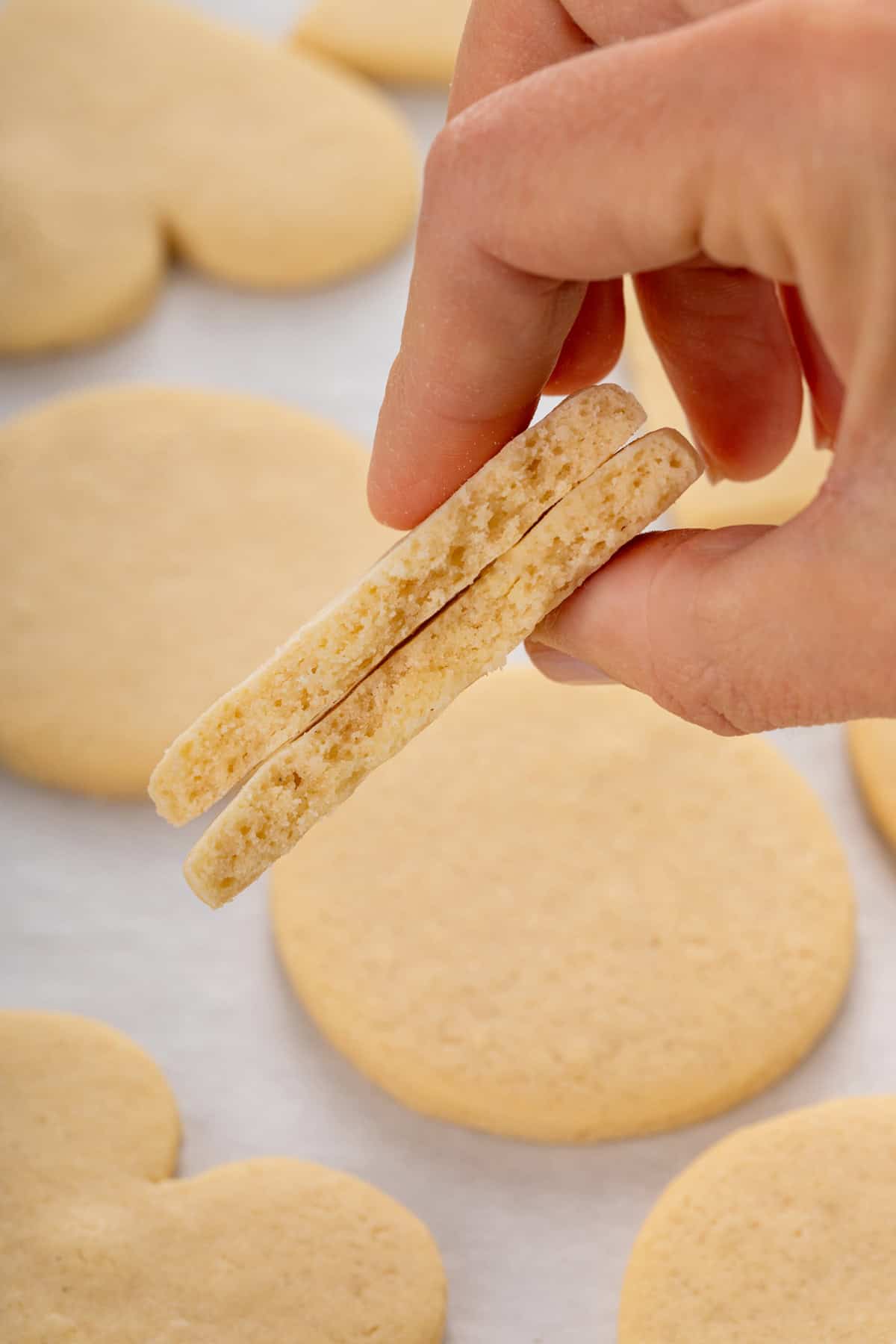 Hand holding up a halved no-spread sugar cookie to the camera.