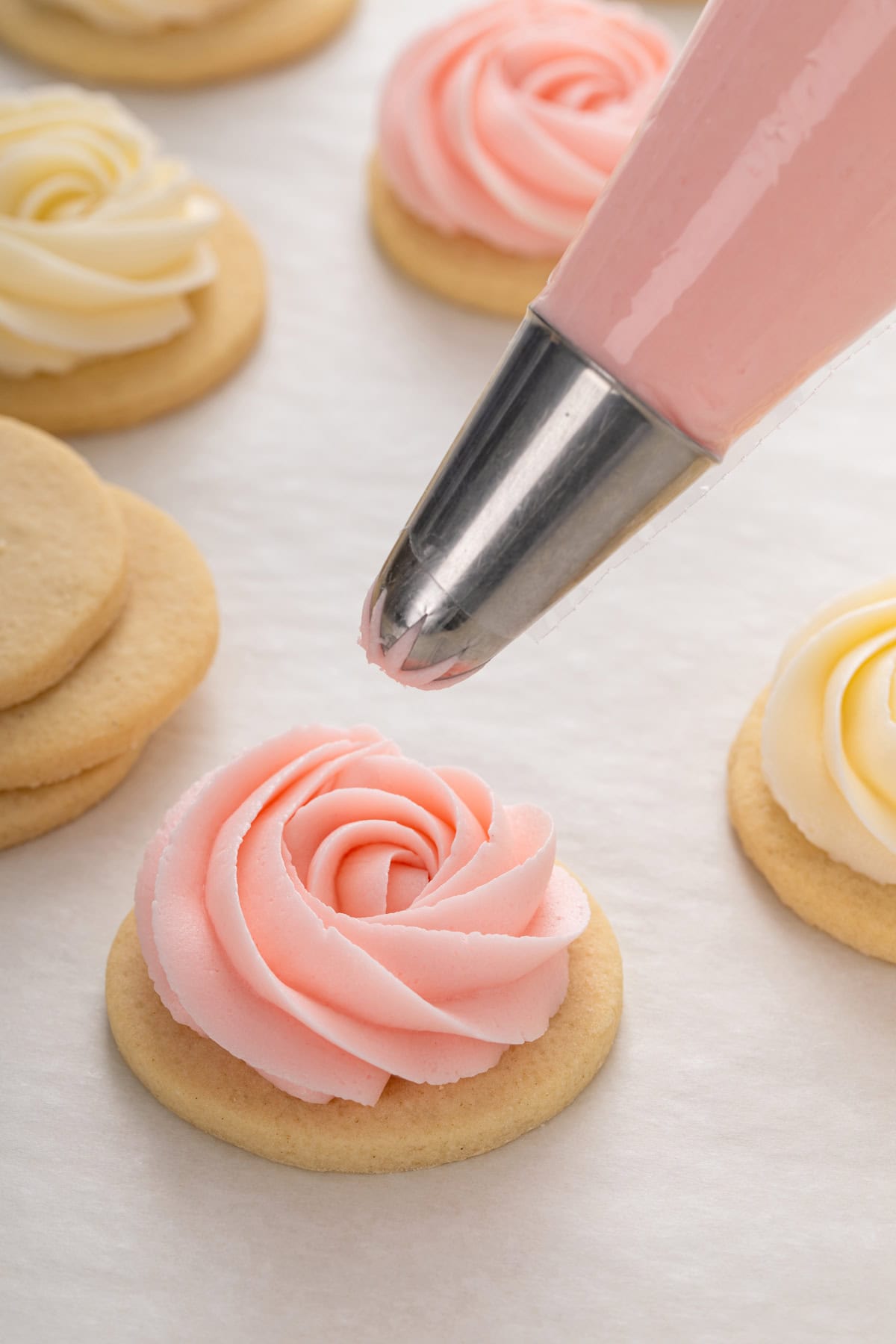 Pink sugar cookie frosting being piped in a rosette on a round sugar cookie.