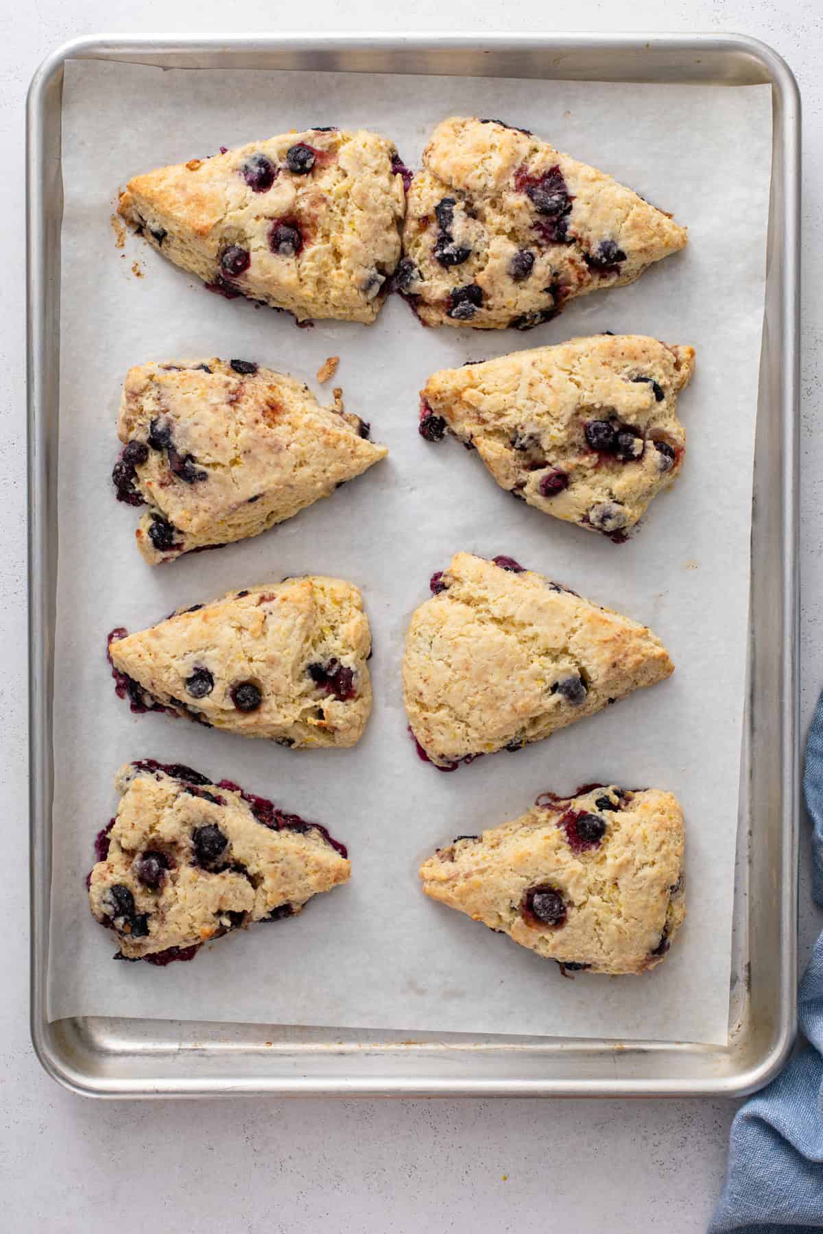 Golden baked lemon blueberry scones cooling on a parchment-lined baking sheet.