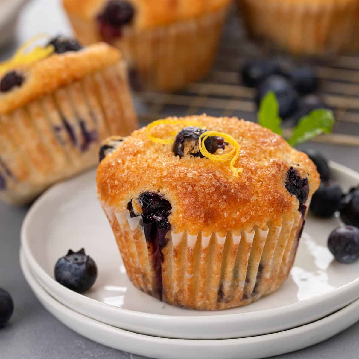 Lemon Blueberry Muffins