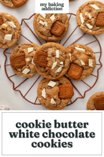 Overhead view of cookie butter cookies scattered on a wire rack. Text overlay includes recipe name.