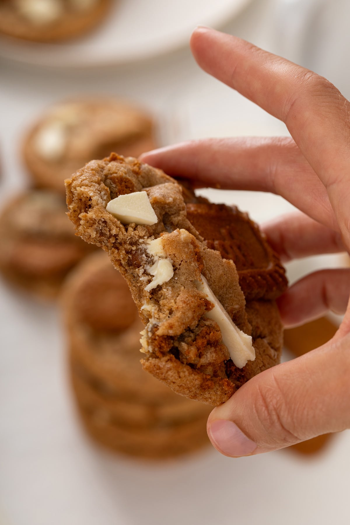 Hand holding up a cookie butter cookie with a bite taken from it.