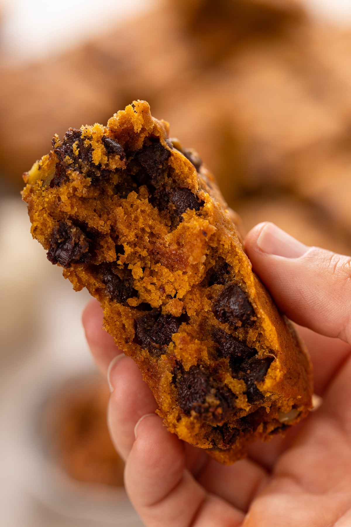 Hand holding up a halved slice of pumpkin chocolate chip snack cake to show the texture of the crumb.